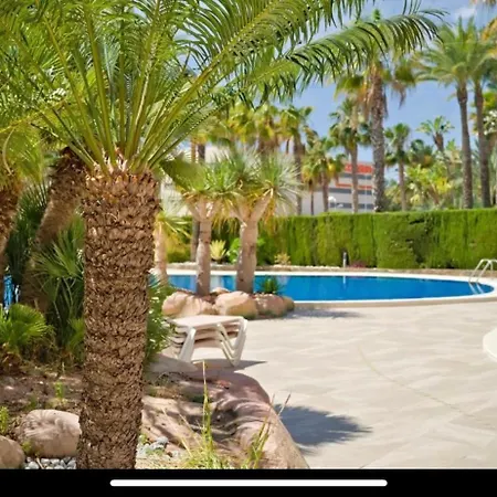 Elite In * Кальпе