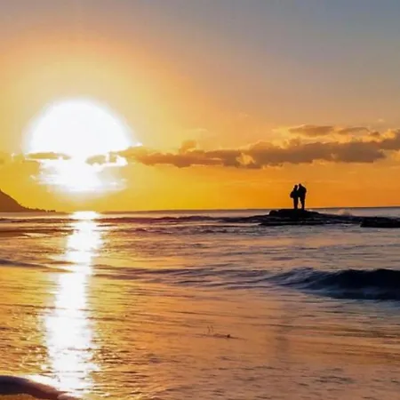 Elite In * 卡尔佩